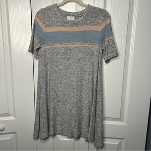 Ann Taylor Loft Women’s Lou and Gray Swing‎ Dress Gray Pink Blue Stripe XS